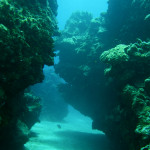 Eden Rock & Devil's Grotto Grand Cayman
